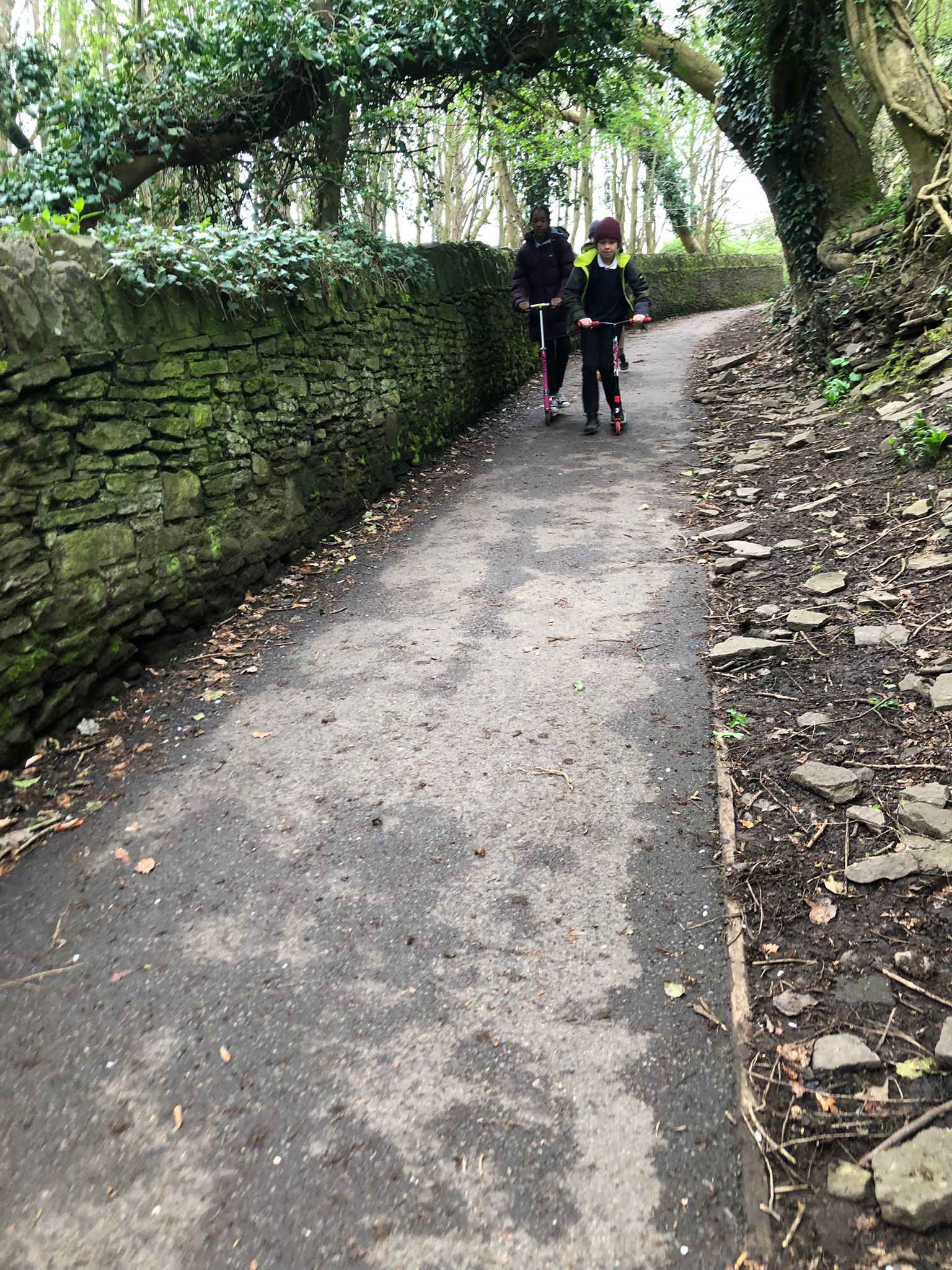 有小朋友踩着板車，經山路上學。三五成群，有講有笑。